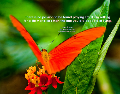 Purpose in Social Media Marketing