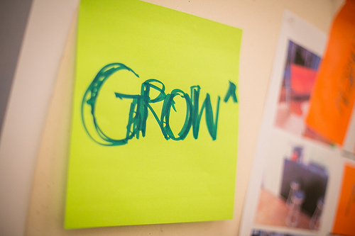 social media marketing for business